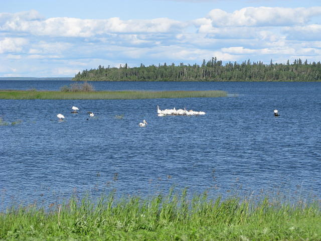 Ministry of Environment, Wildfire Management Branch - Buffalo Narrows 3