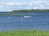 Ministry of Environment, Wildfire Management Branch - Buffalo Narrows 3