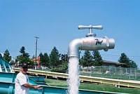 Remember.... Wash Your Hands!